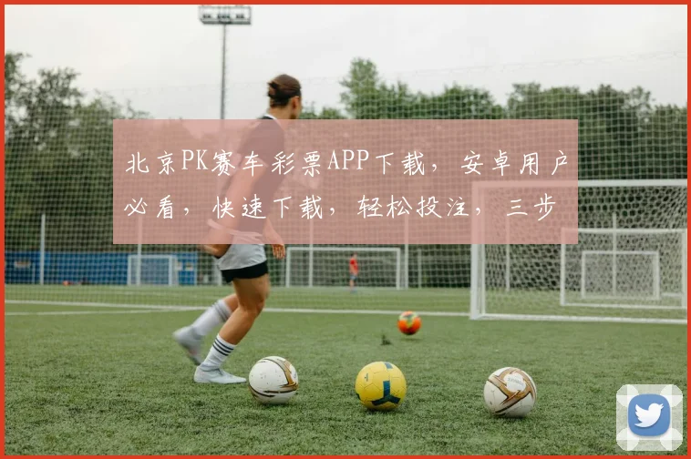 北京PK赛车彩票APP下载，安卓用户必看，快速下载，轻松投注，三步轻松玩转