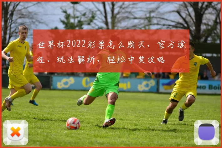 世界杯2022彩票怎么购买，官方途径、玩法解析，轻松中奖攻略
