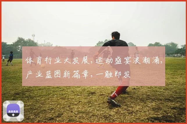 体育行业大发展,运动盛宴浪潮涌,产业蓝图新篇章,一触即发