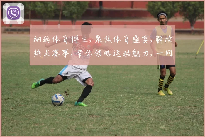 细狗体育博主,聚焦体育盛宴,解读热点赛事,带你领略运动魅力,一网打尽精彩瞬间