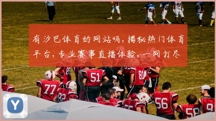 有沙巴体育的网站吗,揭秘热门体育平台,专业赛事直播体验,一网打尽