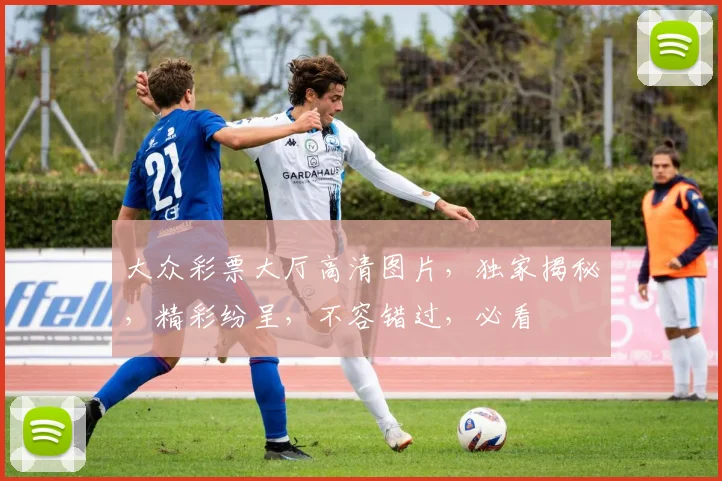 大众彩票大厅高清图片，独家揭秘，精彩纷呈，不容错过，必看