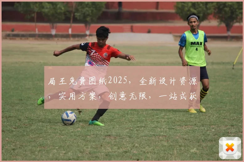 局王免费图纸2025，全新设计资源，实用方案，创意无限，一站式获取
